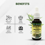 Dr. Schavit 100% Natural Eucalyptus Tincture. High Quality Eucalyptus Liquid Extract. 30ml/1Fl.Oz
