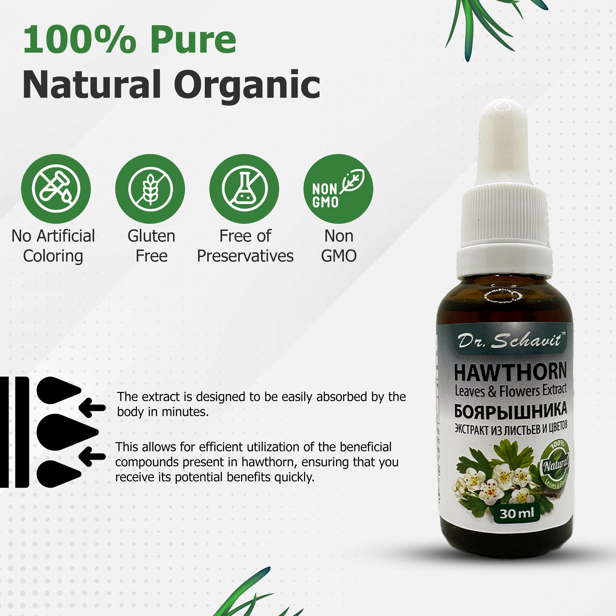 Dr. Schavit 100% Natural Hawthorn Leaves and Flowers Extract. Gluten-Free , Vegan. Promotes Circulation Function | Helps Maintain Cholesterol Level 30ml/1Fl.Oz